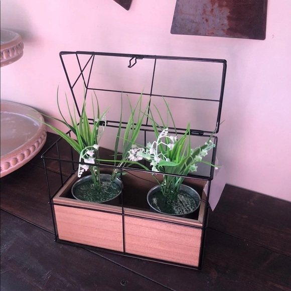 Plant Display - Picture 3 of 3